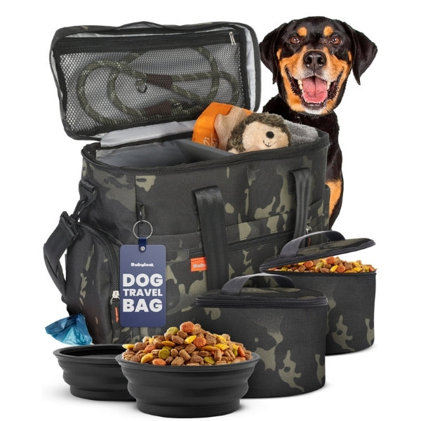 Pet Travel