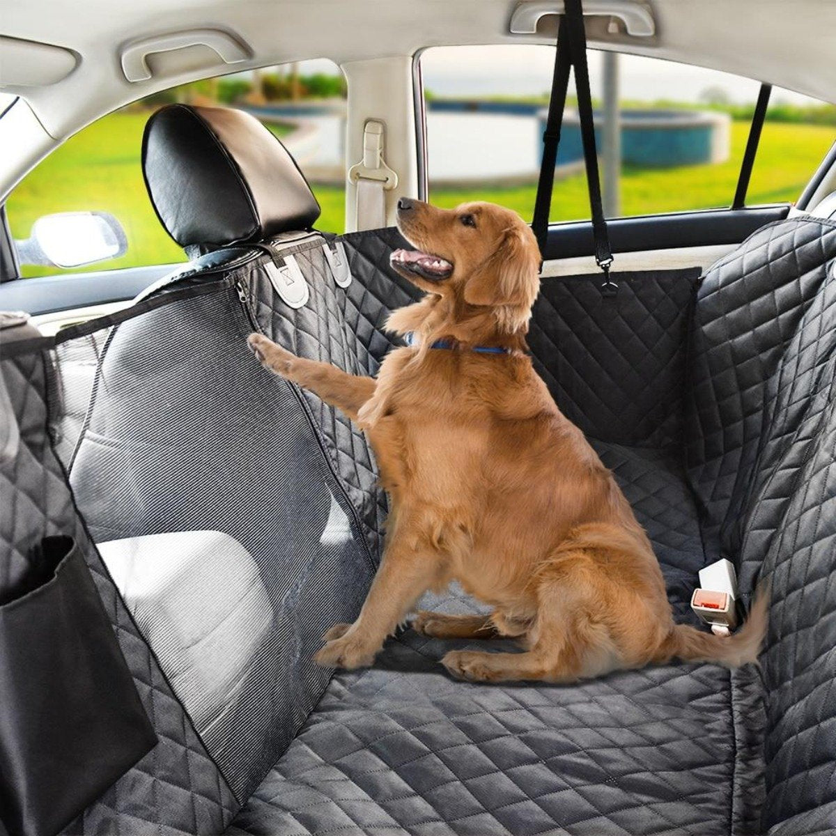 Pets Travels Covers, belts