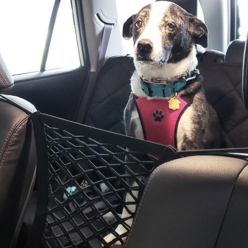 Pet Car Sefty travel