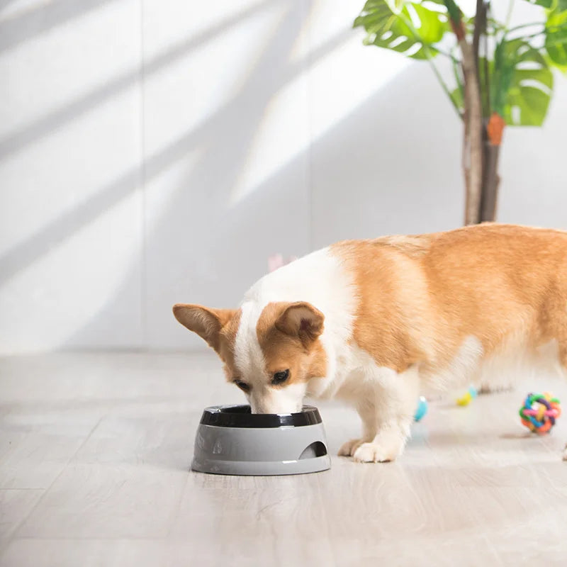 Pet Dog Bowls Floating Not Wetting Mouth Cat Bowl No Spill Drinking